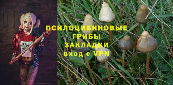 спиды Алексеевка