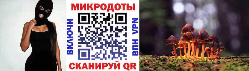 Псилоцибиновые грибы Psilocybine cubensis  Катайск 
